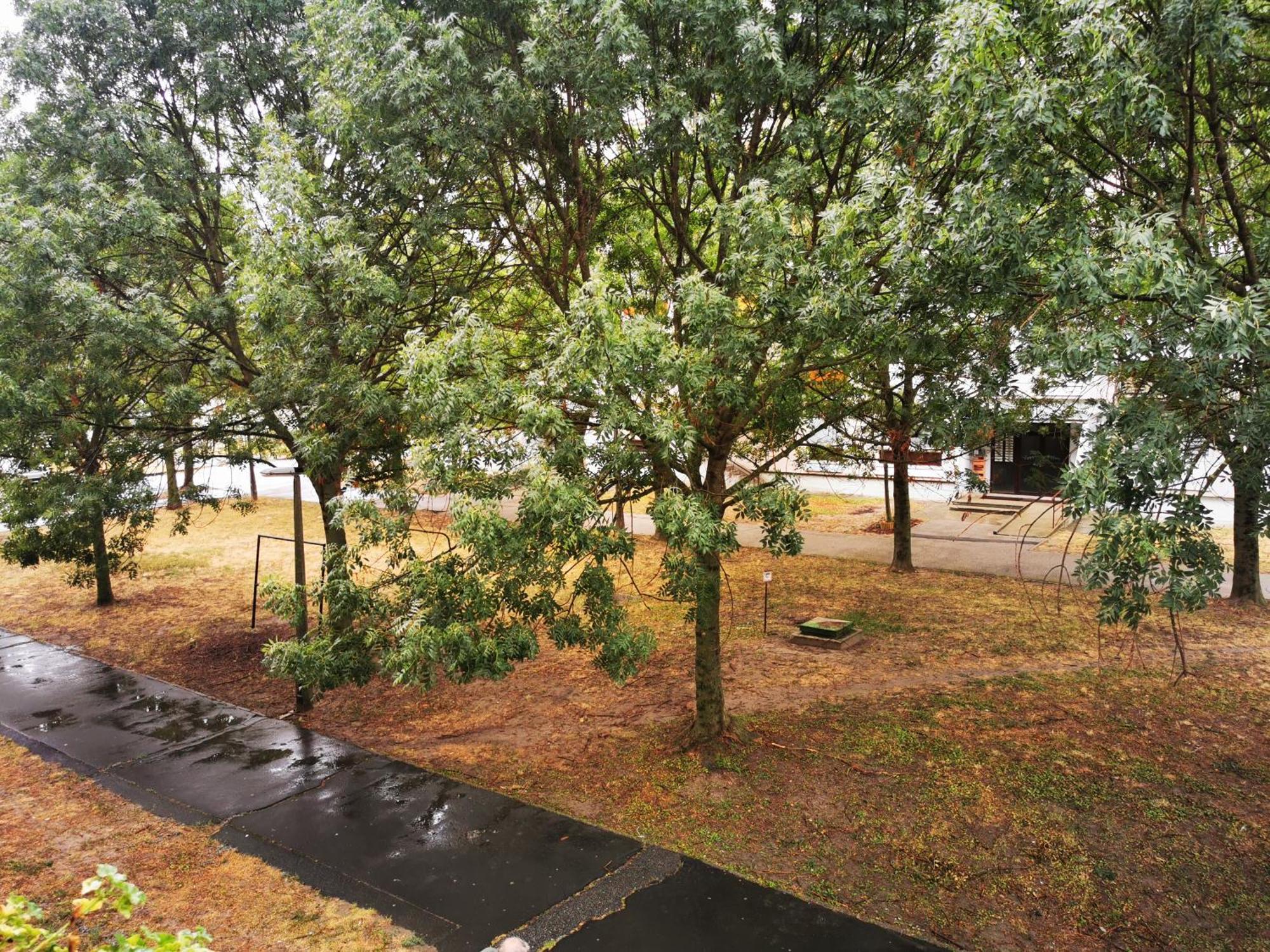 Central Park Apartman Szekszárd Dış mekan fotoğraf